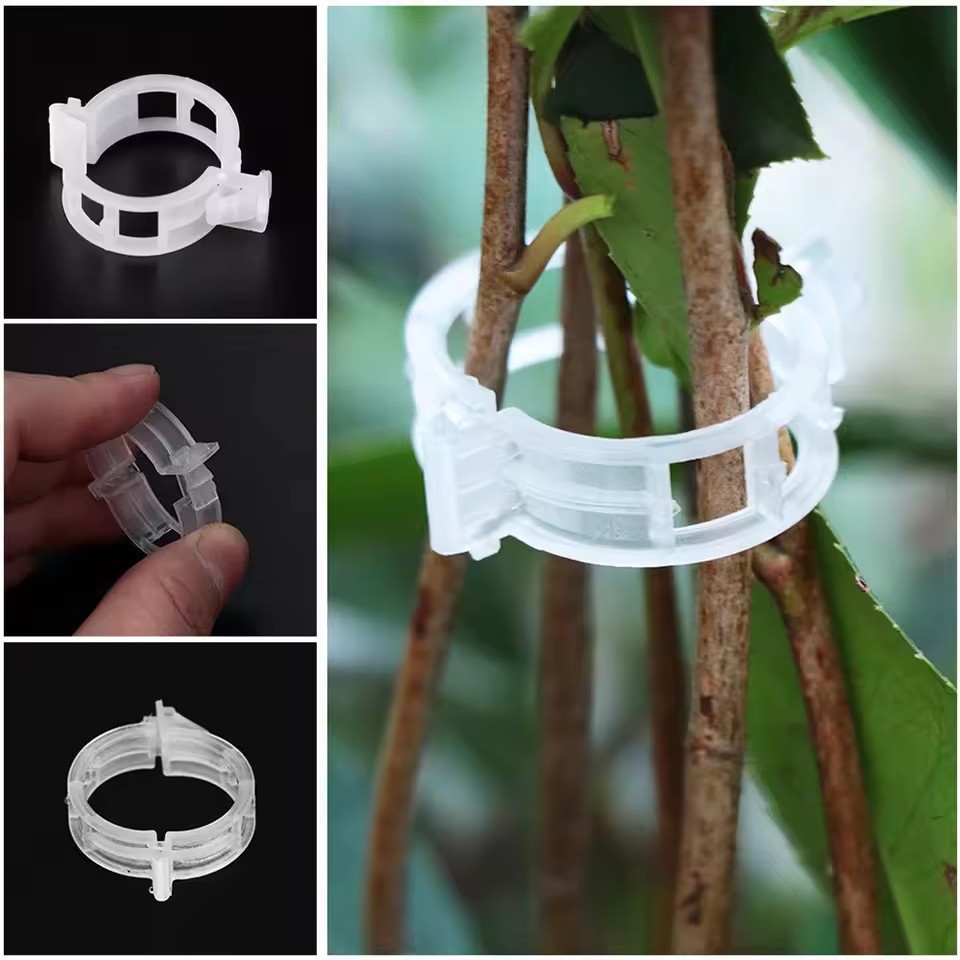คลิปหนีบต้นไม้ 20 ชิ้น, ตัวยึด - Gardening Tools Vegetables บทวิจารณ์และราคา