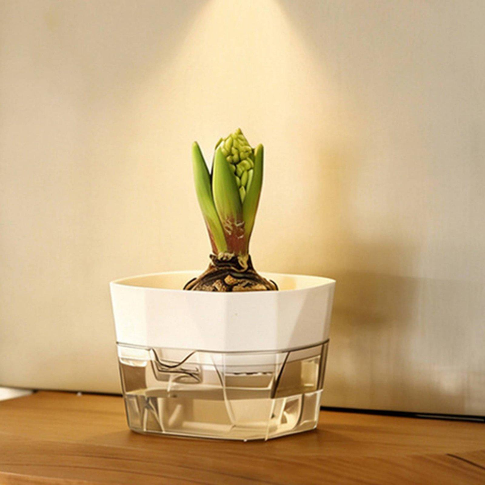 แจกันปลูกพืชแบบไฮโดรโปนิกส์สอง - Self-Watering Planter บทวิจารณ์และราคา