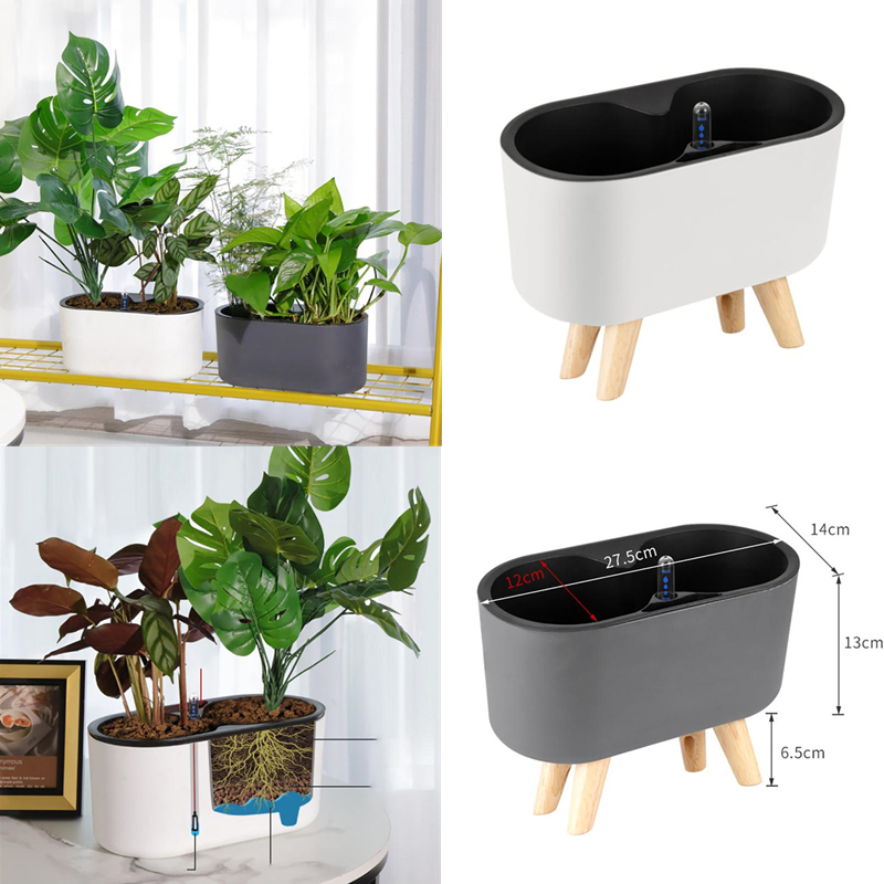 โรงงานในร่มที่มีตัวบ่งชี้ไม้ขา - Automatic Plant Waterer บทวิจารณ์และราคา