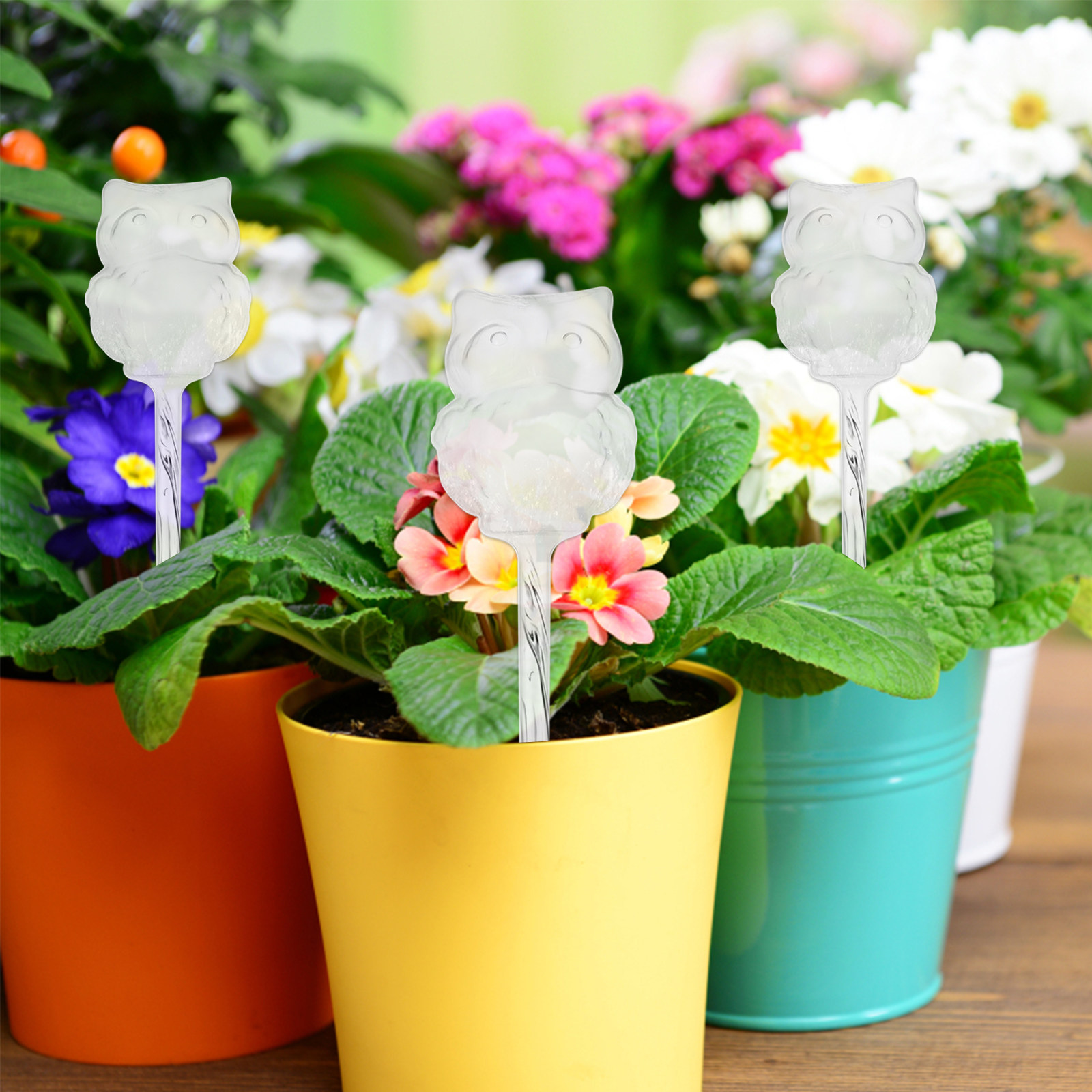 อุปกรณ์รดน้ำอัตโนมัติ 4 ชิ้น ร - Automatic Plant Waterer บทวิจารณ์และราคา